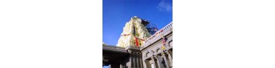 ஹைகேட்ஹில் - இலண்டன்
